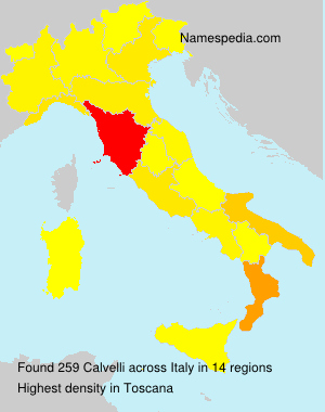 Calvelli Calvelli