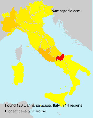 Cannarsa Cannarsa