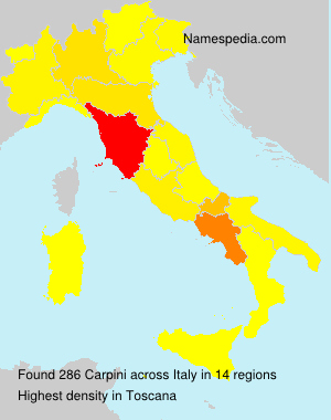 Carpini Carpini