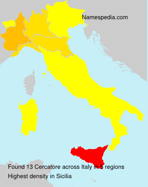 Cercatore Cercatore