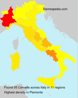 Cervella Cervella