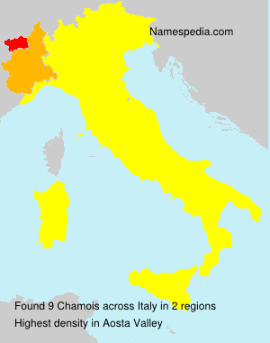 Chamois Chamois
