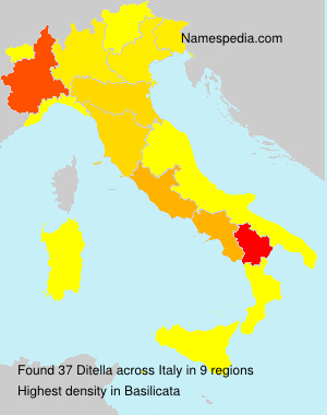 Ditella Ditella