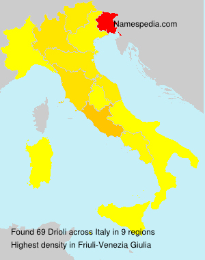 Surname Drioli in Italy Surname Drioli in Italy