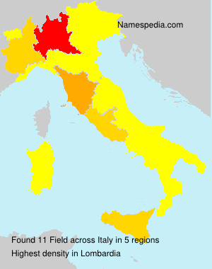 Surname Field in Italy Surname Field in Italy