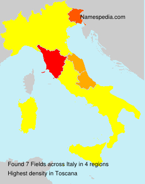 Surname Fields in Italy Surname Fields in Italy