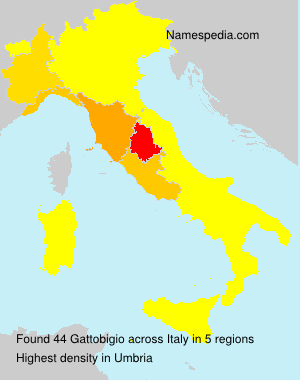 Gattobigio Gattobigio