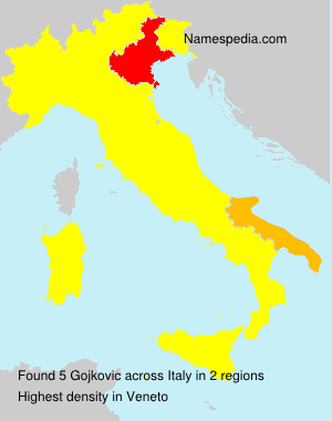 Surname Gojkovic in Italy Surname Gojkovic in Italy
