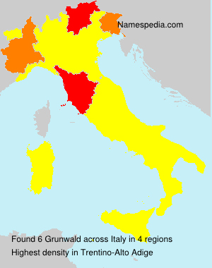 Surname Grunwald in Italy Surname Grunwald in Italy