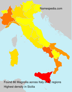 Surname Magnolia in Italy Surname Magnolia in Italy