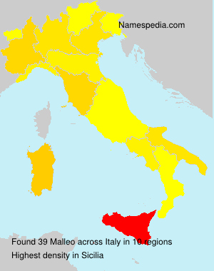 Malleo Malleo