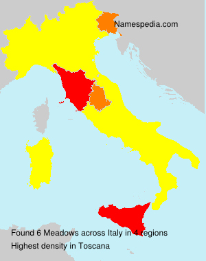 Surname Meadows in Italy Surname Meadows in Italy