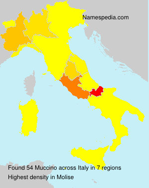 Muccino Muccino