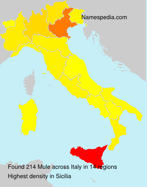 Surname Mule in Italy Surname Mule in Italy