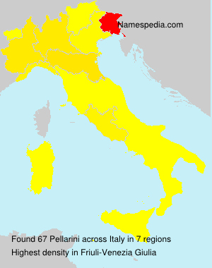 Pellarini Pellarini