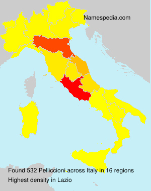 Surname Pelliccioni in Italy Surname Pelliccioni in Italy