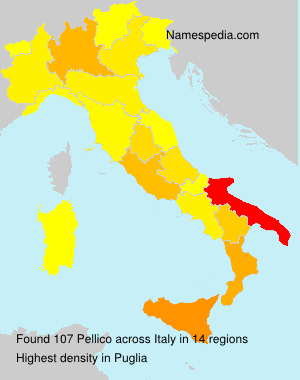Pellico Pellico