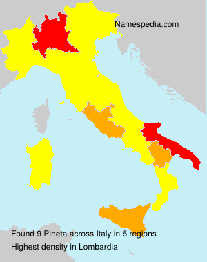 Pineta Pineta