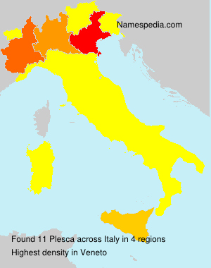 Surname Plesca in Italy Surname Plesca in Italy