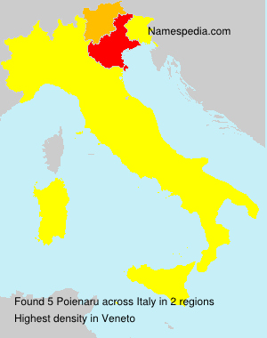 Poienaru Poienaru