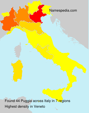 Surname Puggia in Italy Surname Puggia in Italy