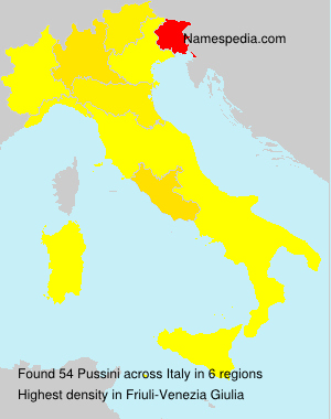 Pussini Pussini