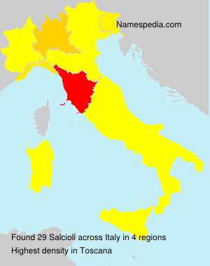 Surname Salcioli in Italy Surname Salcioli in Italy
