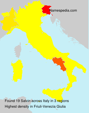 Surname Salvin in Italy Surname Salvin in Italy