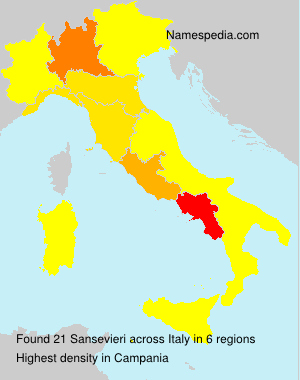 Sansevieri Sansevieri