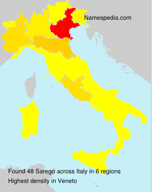 Surname Sarego in Italy Surname Sarego in Italy