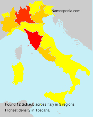Surname Schaub in Italy