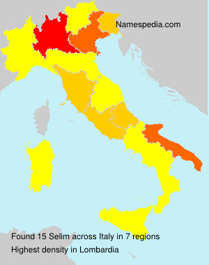 Surname Selim in Italy Surname Selim in Italy
