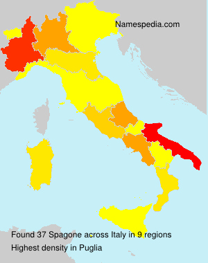 Spagone Spagone