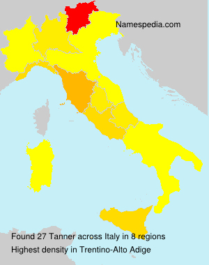 Surname Tanner in Italy Surname Tanner in Italy