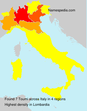 Toumi Toumi