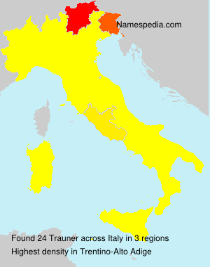 Trauner Trauner