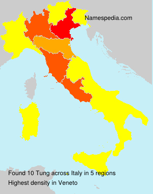 Surname Tung in Italy Surname Tung in Italy