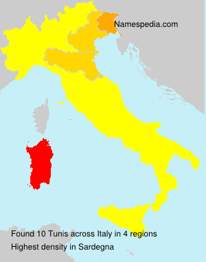 Surname Tunis in Italy Surname Tunis in Italy