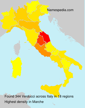 Verducci Verducci