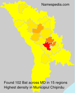 Bat Bat