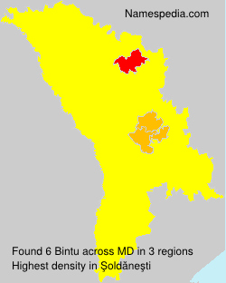 Surname Bintu in Moldova Surname Bintu in Moldova