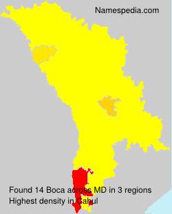 Boca Boca