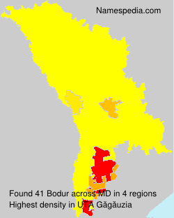 Bodur Bodur