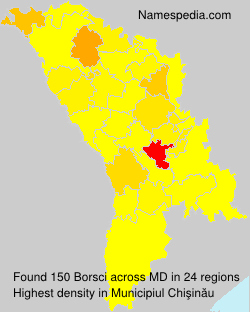 Borsci Borsci