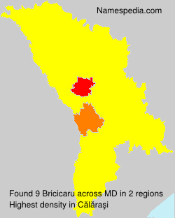 Surname Bricicaru in Moldova Surname Bricicaru in Moldova