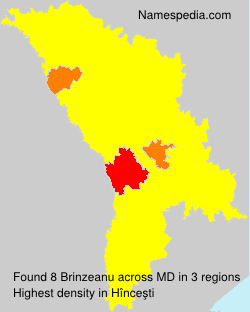 Brinzeanu Brinzeanu