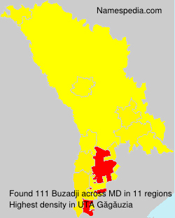 Buzadji Buzadji