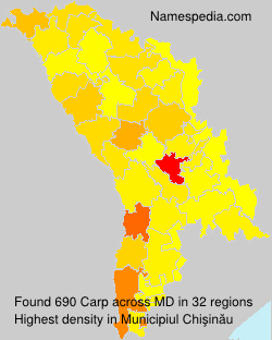 Surname Carp in Moldova Surname Carp in Moldova