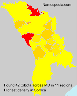 Cibota Cibota