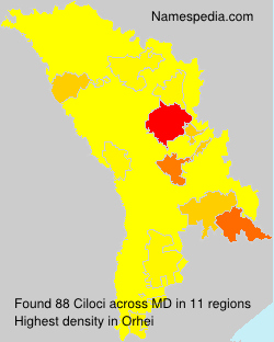 Ciloci Ciloci